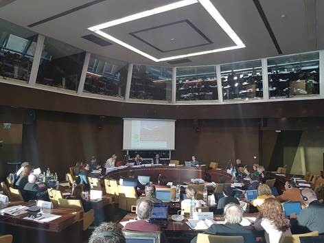 Gjatë takimit të Komitetit të Përhershëm, Këshilli i Europës, Strasburg: Ana Colovic-Lesoska (Eco-sense) prezanton rastin e Mavrovës © Aleksandra Bujaroska