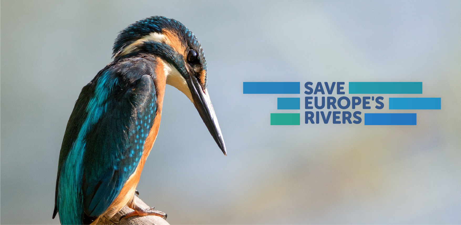 save europe's rivers banner-05